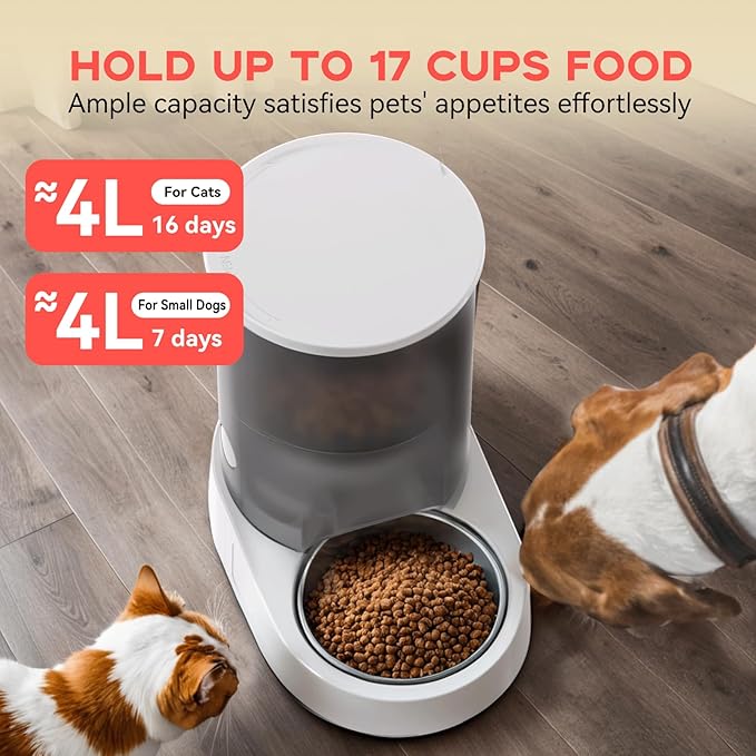 PAPIFEED Automatic Cat Feeder, 4L Auto Dog Cat Feeder with Rechargeable Battery &amp; Dual-Band WiFi (2.4G &amp; 5G), Automatic Pet Food Dispenser for Outdoor Travel Home - Ceramic Bowl Included