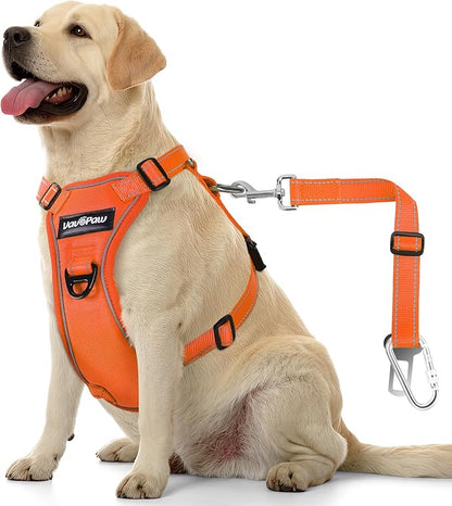 Dog Seat Belt Harness for Car, Dog Car Harness Adjustable Mesh Breathable &amp; Dogs Seatbelt Safety Tether with Elastic Bungee for Small Medium Large Pets(Orange, L)