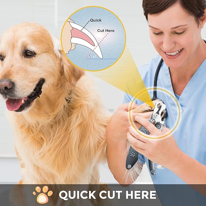 Best Dog Nail Trimmers for Anxiety Sensitive Dogs, Quiet Sharpest Smoothest Nail Clippers for Large Dog Medium Small, Professional Stainless Steel with Nail File &amp; Comb, Left-Handed Friendly