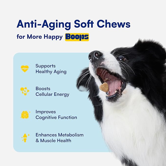 NAD+ Precursor &amp; Senior Dog Supplement - 90 Soft Chews &amp; Vitamins - NMN Alternative for Longevity, Anti-Aging &amp; Energy - Nicotinamide Riboside, Resveratrol, Quercetin, Made with Pasture-Raised Chicken