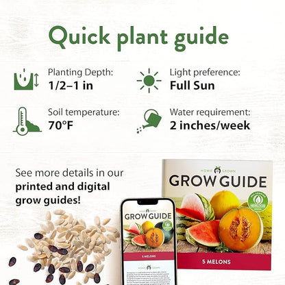 HOME GROWN 𝗨𝗦𝗔 𝗣𝗥𝗘𝗠𝗜𝗨𝗠 Melon Seeds Variety Pack 5 𝗡𝗢𝗡-𝗚𝗠𝗢 Heirloom Vegetable Seeds, Watermelon Cantaloupe Honeydew Sugar Baby &amp; Melon, High Germination for Planting Home Garden Indoors