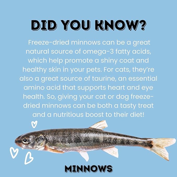 hotspot pets Freeze Dried Minnows Treats for Cats &amp; Dogs (1 Pound Bag Over 1800 PCS!) (Made in USA) All Natural, High Protein, Rich in Omega-3s, Grain-Free,Perfect for Training, Topper or Snack