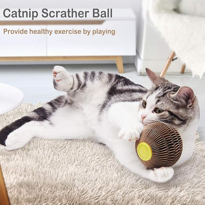 AREIIA Catnip Ball Toy for Cats Catnip Refillable Scratcher Ball Kitty&