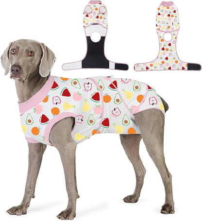 Recovery Suit for Dogs After Surgery, Professional Dog Surgical Suit for Female Spay, Male Neuter, E-Collar &amp; Cone Alternative Dog Onesie for Abdominal Wounds Skin Disease, Fruit, S