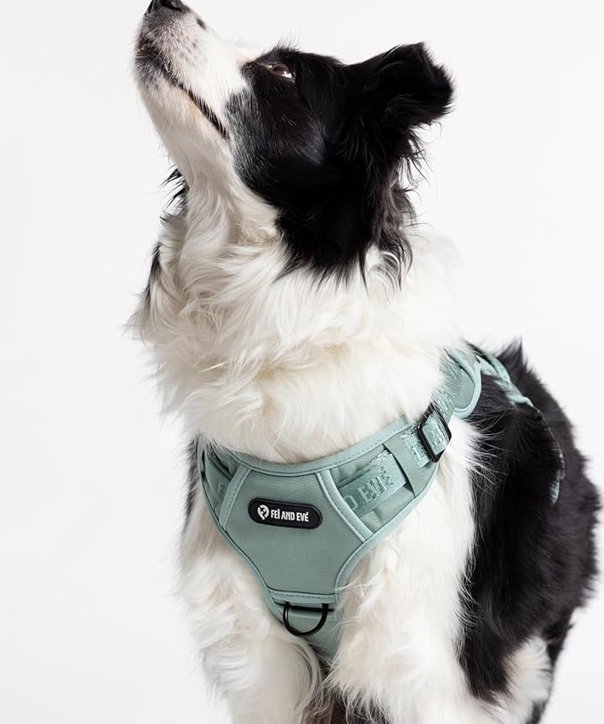 2025 New Edition, Fei &amp; Eve MagEase Dog Harness - 3-Second Magnetic Buckles | 3-Point No-Pull Control | Heavy-Duty 900D Nylon | Dual Safety Handles | Breathable Mesh | Adjustable Fit | X-Large, Green