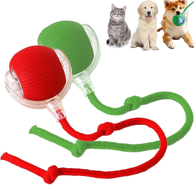 2 Packs Interactive Cat Toy Ball for Indoor Cats - 3-Speed Smart Rolling Ball with Flashing Lights, USB Rechargeable Automatic Motion Kitten Toys for Bored Adult Cats &amp; Playful Kittens