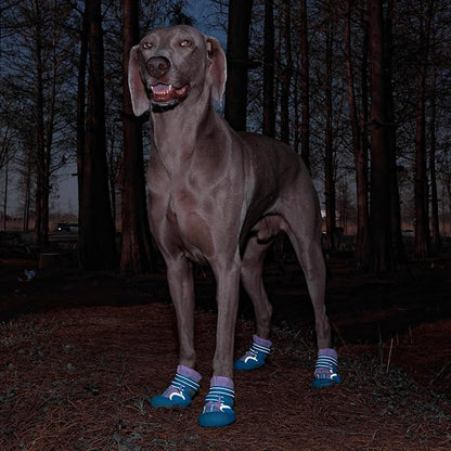 Dog Shoes, Waterproof Dog Boots &amp; Paw Protectors with Anti-Slip Sole, 4pcs/Set Pet Dog Booties, Reflective Dog Shoes for Small Medium Large, Winter Snowy Summer Hot Pavement (Blue, 3