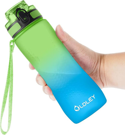 OLDLEY 25 oz Water Bottle, Motivational Water Bottle with Time Marker, Sports Water Bottle With Strap, Leakproof &amp; BPA Free Large Water Bottles for School, Gym, Travel, Outdoor, Tritan,Green&amp;Blue