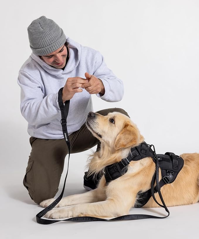 2025 New Edition, Fei &amp; Eve MagEase Dog Harness - 3-Second Magnetic Buckles | 3-Point No-Pull Control | Heavy-Duty 900D Nylon | Dual Safety Handles | Breathable Mesh | Adjustable Fit | Medium,Black
