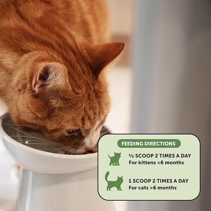 Digestive Probiotic Powder Supplement for Cats - Digestive Support + Gut Health, Probiotic for Cats, Cat Constipation Relief, Bowel Support, Immunity &amp; Overall Health - 120 Scoops