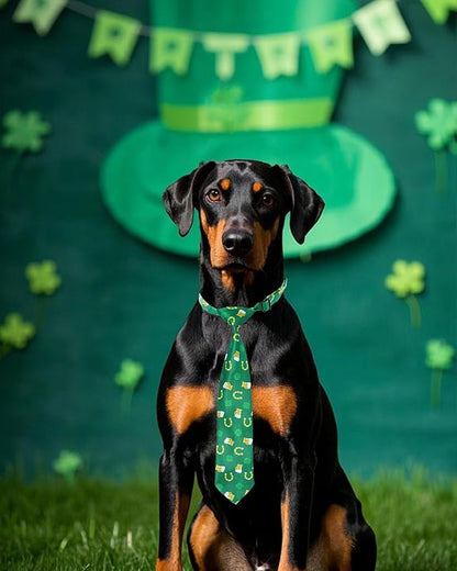PET SHOW 10 Pack St. Patrick&