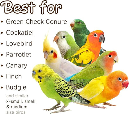 5-Pack Natural Hanging Basket Bird Toys – Foraging &amp; Chewing Toys for Parakeets, Cockatiels, Conures &amp; Small Birds – No Plastic, All-Natural Materials