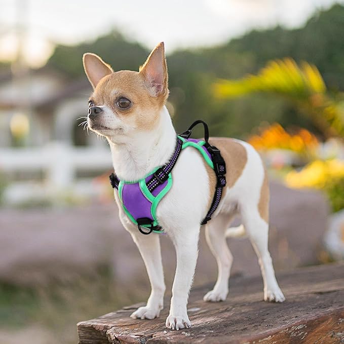 Eagloo Small Dog Harness No Pull, Service Vest with Reflective Strips and Control Handle, Adjustable and Comfortable for Walking, No Choke Pet Harness with 2 Metal Rings, Purple &amp; Green, XS