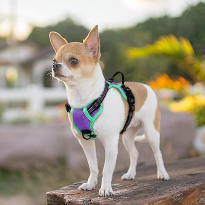 Eagloo Small Dog Harness No Pull, Service Vest with Reflective Strips and Control Handle, Adjustable and Comfortable for Walking, No Choke Pet Harness with 2 Metal Rings, Purple &amp; Green, XS
