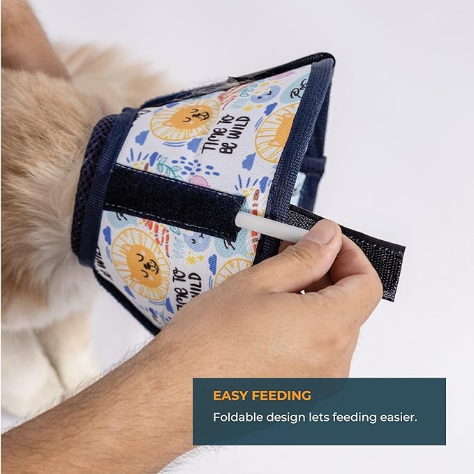 Cat Cone Collar – Colorful Cat Pattern - Lightweight Recovery Cone for Cats, Anti-Lick &amp; Anti-Scratch, Vet Recommended, Elizabethan Collar (Colorful, XXS [Neck Girth: 7.5"-10.3"])