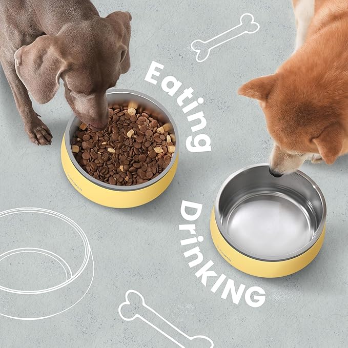 Pawaii Stainless Steel Dog Bowl with Non-Slip Rubber Base &amp; Double Wall Insulation - Durable Design | Includes ID Tag | Dishwasher Safe Food &amp; Water Bowl for All Dogs (34oz)