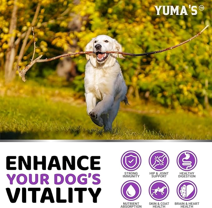 2-Pack Dog Multivitamin Chewable with Glucosamine - Dog Vitamins and Supplements - Senior &amp; Puppy Multivitamin for Dogs - Hip &amp; Joint Support - Immune Health, Skin, Heart, Digestion, Probiotics
