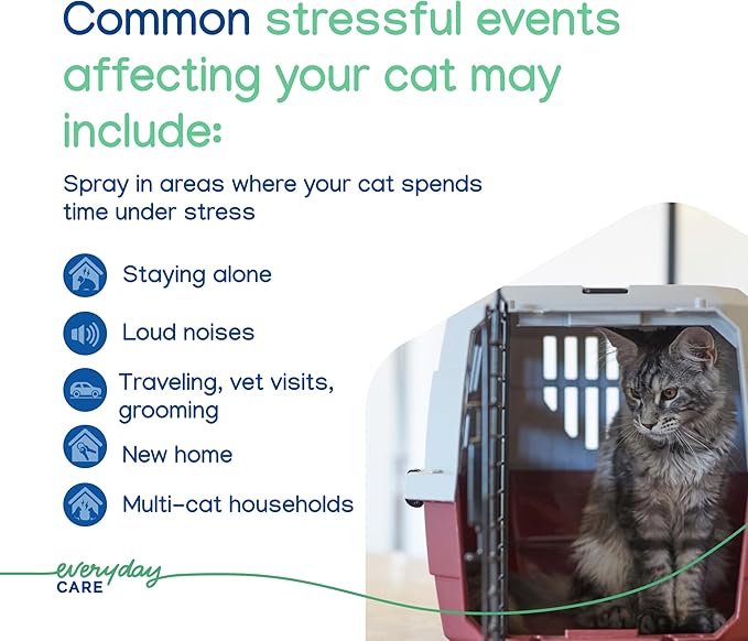 Virbac Zenifel Cat Spray for Managing Stress-Related Behaviors in Kittens &amp; Cats - Quick-Acting - Ideal for Unexpected Stressful Situations - 1 Bottle
