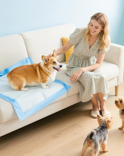150-Pack Large Puppy Pads - 22&