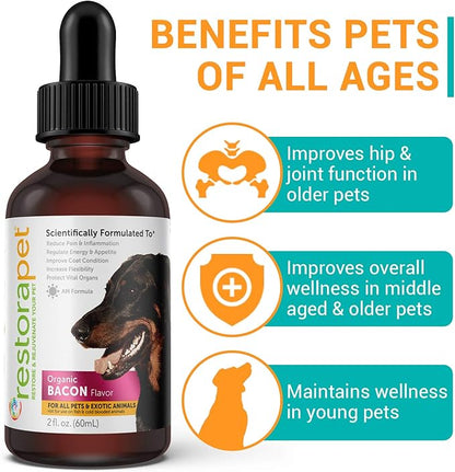 RestoraPet 1-Pack Dog &amp; Cat Bacon Liquid Multivitamin | Dog Arthritis Pain Relief | Hip &amp; Joint Vitamins for Dogs - Anti Inflammatory Supplement for Dogs &amp; Cats | Organic &amp; Non-GMO, Vet Approved