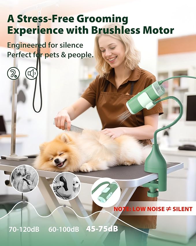 L&amp;W BROS. 2-in-1 Pet Hair Dryer with Clamp Stand – Wearable &amp; Hands-Free Dog Grooming Dryer, 950W Low Noise Blower with 5 Heat &amp; 3 Speed Settings, for Small to Medium Pets (Green)
