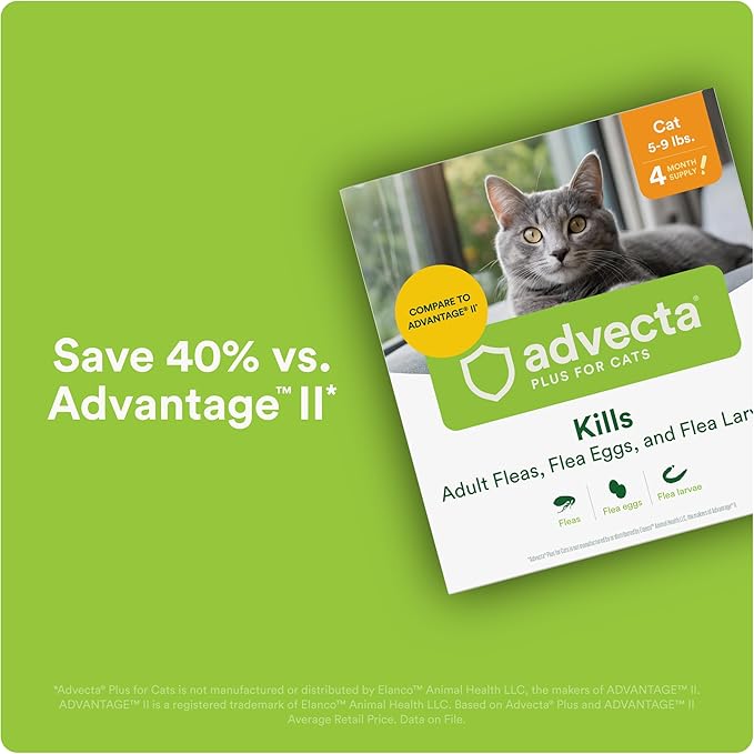 Plus Flea Prevention for Cats, Cat and Kitten Treatment &amp; Control, Small and Large, Fast Acting Waterproof Topical Drops, 2 Month Supply