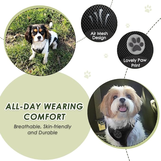 SlowTon Dog Seat Belt Harness for Car, Dog Car Harness Adjustable Mesh Breathable &amp; Dog Seatbelt Safety Tether with Elastic Bungee for Small Medium Large Pets(Black, Single Clip, XXS)