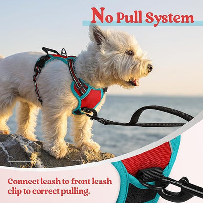 rabbitgoo Dog Harness No Pull with 2 Leash Clips, Adjustable Soft Padded, Reflective Oxford No Choke Pet Vest with Easy Control Handle for Puppy, Red &amp; Teal, XS