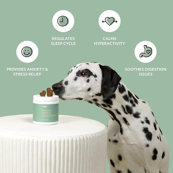 Reggie Anytime Calming Chews for Dogs | Natural Calming Dog Treats to Reduce Hyperactivity, Separation Anxiety, &amp; Stress | Vet-Approved &amp; Ideal for All Ages, Breeds, and Sizes (120 Count)