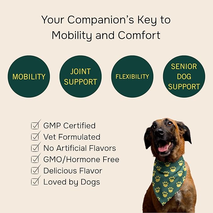 PetMeds Hip &amp; Joint Supplement for Dogs - Vitamins, Glucosamine, MSM, Chondroitin, Collagen for Joint Mobility &amp; Flexibility - Senior Dog Arthritis Support - Beef &amp; Sweet Potato Flavor - 60 Soft Chews