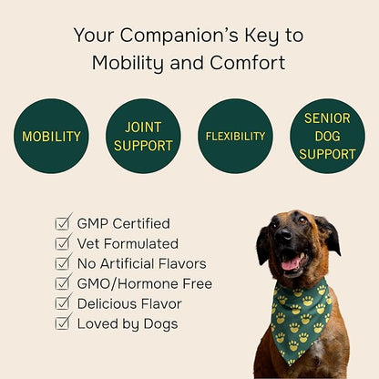 PetMeds Hip &amp; Joint Supplement for Dogs - Vitamins, Glucosamine, MSM, Chondroitin, Collagen for Joint Mobility &amp; Flexibility - Senior Dog Arthritis Support - Beef &amp; Sweet Potato Flavor - 60 Soft Chews