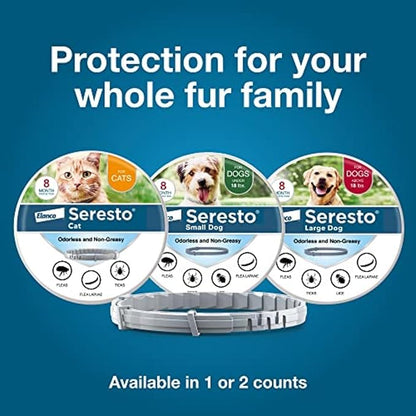 Seresto Large Dog Vet-Recommended Flea &amp; Tick Treatment &amp; Prevention Collar for Dogs Over 18 lbs. | 8 Months Protection