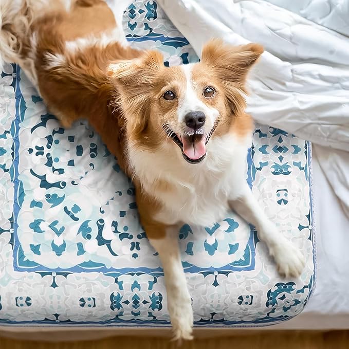 NALALAS Large Washable Pee Pads for Dogs | Reusable, Waterproof &amp; Ultra Absorbent Puppy Pads | Dog Pee Pads, Anti-Slip, Leakproof &amp; Quick Dry Pet Training Mat | Whelping Pad, Puppy Mat &amp; Crate Pad