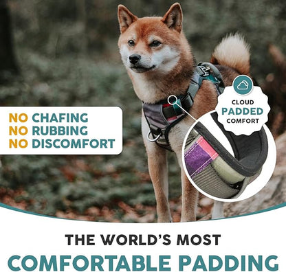 Embark Adventure Dog Harness, Reflective Trim No Pull Dog Harnesses for Small Sized Dogs - Military Grade Nylon, Front Clip with Gel Lined Handle. Soft &amp; Padded Puppy