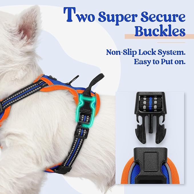 rabbitgoo Dog Harness No Pull with 2 Leash Clips, Adjustable Soft Padded, Reflective Oxford No Choke Pet Vest with Easy Control Handle for Puppy, Blue &amp; Orange, XS