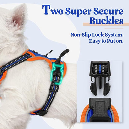 rabbitgoo Dog Harness No Pull with 2 Leash Clips, Adjustable Soft Padded, Reflective Oxford No Choke Pet Vest with Easy Control Handle for Puppy, Blue &amp; Orange, XS
