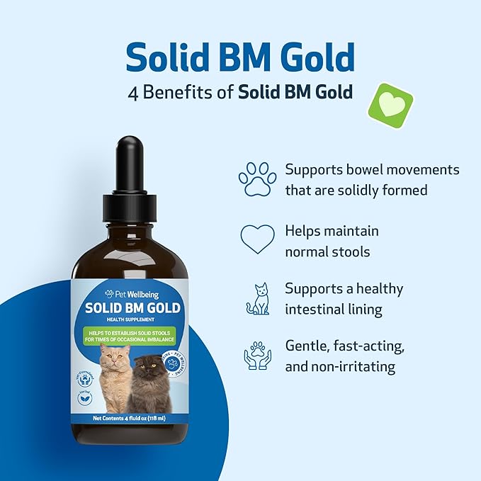 Pet Wellbeing BM Tone-Up Gold for Dogs &amp; Cats - Supports Healthy Digestive Function, Solid Stools, Normal Bowel Movements, Bayberry - Veterinarian-Formulated Herbal Supplement 4 oz (118 ml)