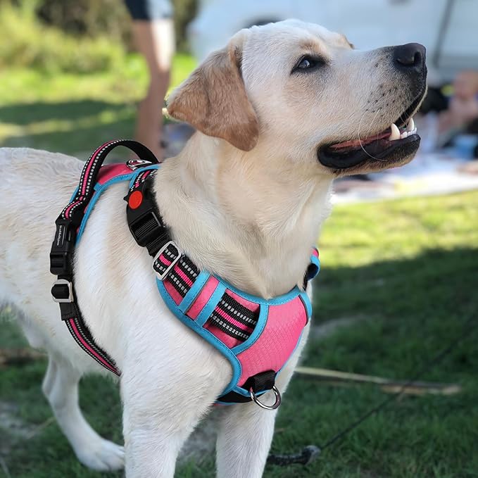 rabbitgoo Dog Harness for Large Dogs, No Pull Pet Vest with 3 Buckles, Adjustable Soft Padded Pet Harness with Easy Control Handle and Reflective Strips, Rose Pink &amp; Blue, L