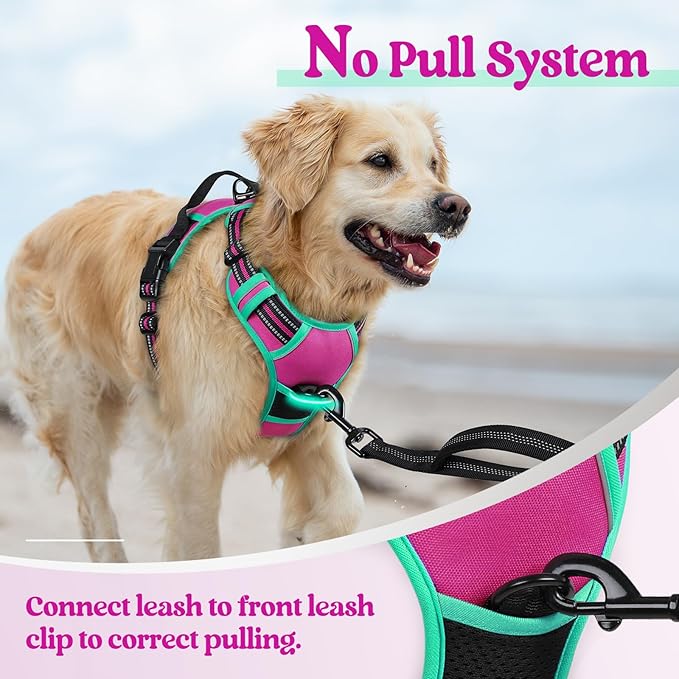 rabbitgoo Dog Harness No Pull with 2 Leash Clips, Adjustable Soft Padded, Reflective Oxford No Choke Pet Vest with Easy Control Handle for Large Dogs, Hot Pink &amp; Turquoise, S