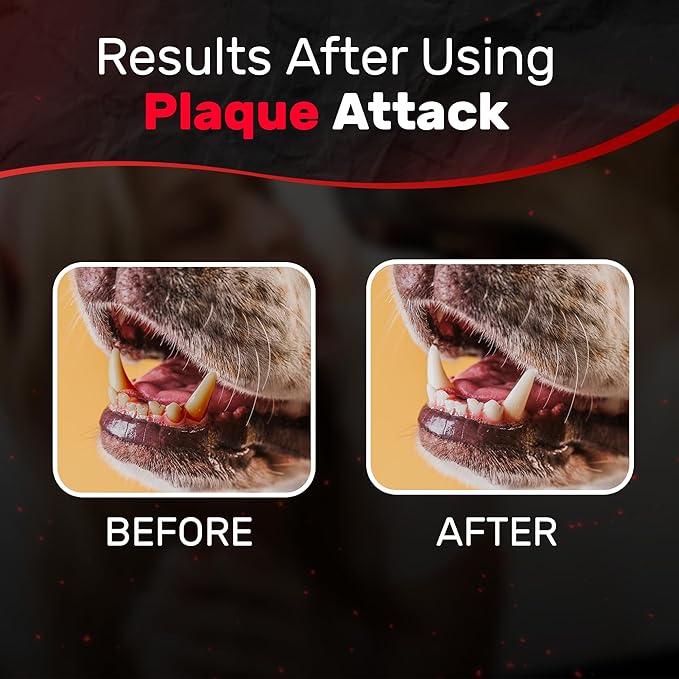 Pet Dental Spray, As Seen on TV, Eliminates Plaque &amp; Tartar, Helps with Plaque and Tartar and Provides Instant Fresh Breath - Includes 3 Months&