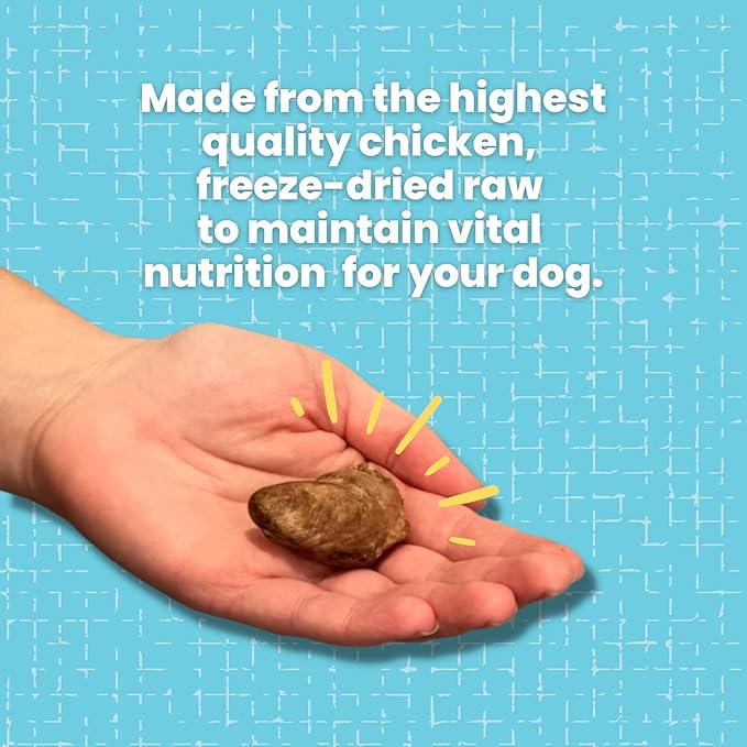 hotspot pets Freeze Dried Chicken Hearts for Cats &amp; Dogs - 1LB Big Bag- Made in USA -Single Ingredient All Natural Grain-Free -Resealable Bag- Perfect for Training, Topper or Snack, Allergen-Free
