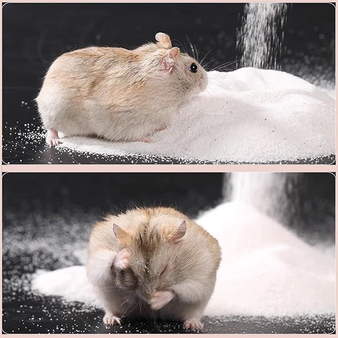 DR.DUDU Hamster Bath Sand, 6.6lb Dust Free Desert Sand or Potty Litter Sand for Hamster Chinchillas Gerbil Syrian Mice Small Animals (White)