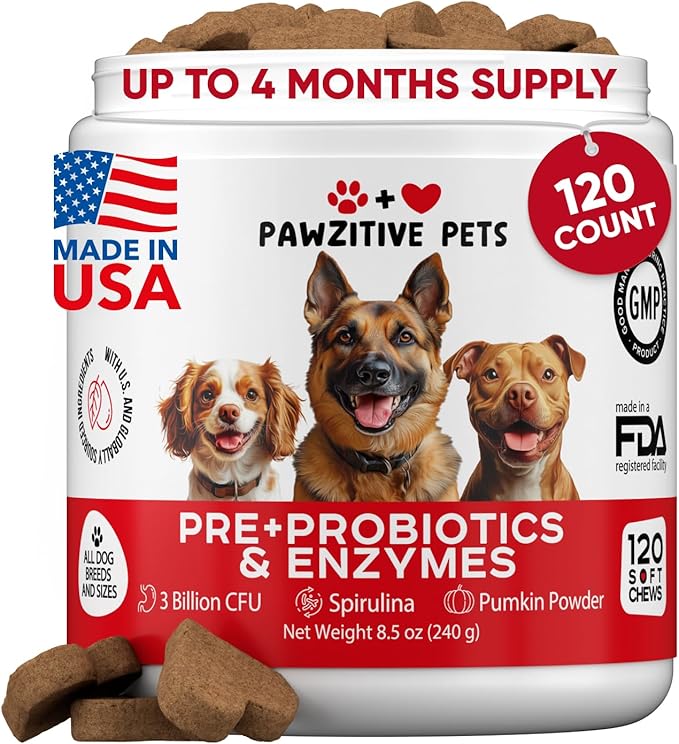 Probiotics for Dogs Digestive Health - Probiotic Chews for Gut Health, Itchy Skin Yeast, Diarrhea - USA Product - Immune Support Supplement - Dog Digestive Support &amp; Allergy Relief Chews with Enzymes