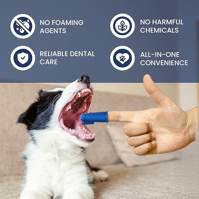 Rad Health Dental Kit - Dog Toothbrush and Toothpaste Kit for Daily Oral Care, Dual Brushes for Deep Cleaning, Safe for Cats &amp; Dogs, Reduces Bad Breath, Prevents Gum Disease