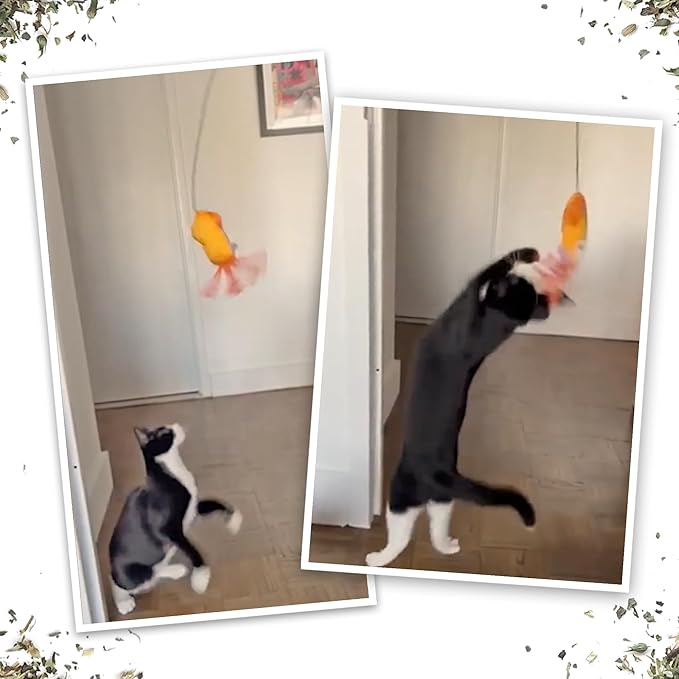 Meowijuana Jump &