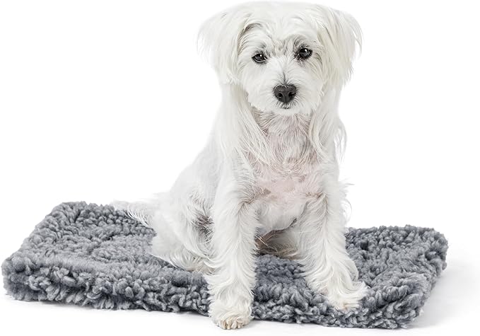 Stoutwool Indestructible Dog Bed - Fluffy Chew Proof Dog Crate Pad - Tough Kennel Pad for Aggressive Chewers - Ideal for Extra Small Breeds &amp; Fits 22-Inch Crate - 21"x12", Charcoal