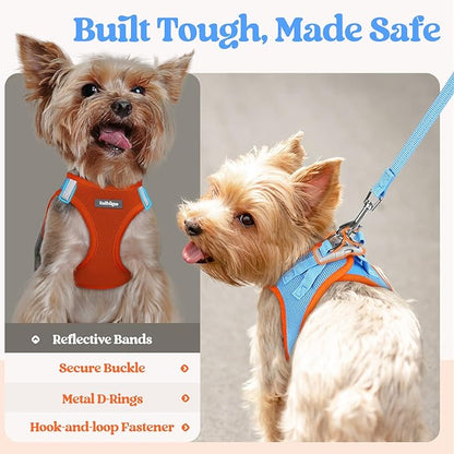rabbitgoo Dog Harness Small Sized and Leash Set, Step in Soft Light Puppy Vest, Breathable Mesh Pet Harness, Reflective for Safe Easy Walking, Blue &amp; Orange XS
