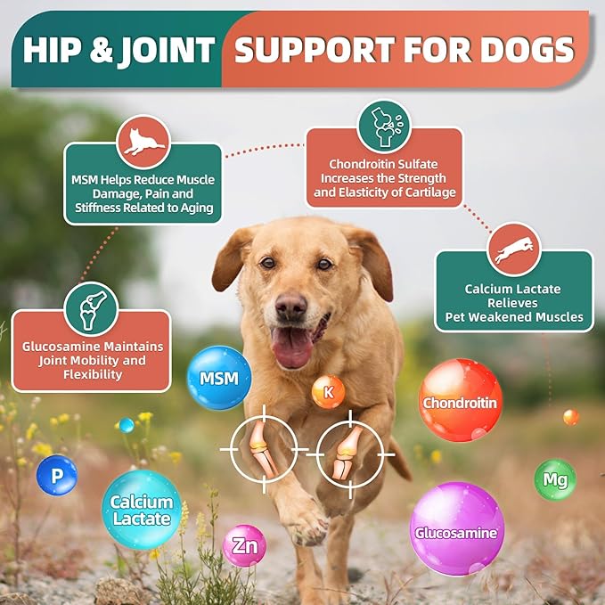 Dog Multivitamin with Glucosamine, Omega 3, Minerals, Probiotics and Enzymes, Dog Vitamins and Supplements for Joint, Skin &amp; Coat Care, Digestive and Immune Health, Chicken Flavor - 120 Chews