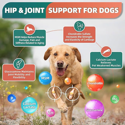 Dog Multivitamin with Glucosamine, Omega 3, Minerals, Probiotics and Enzymes, Dog Vitamins and Supplements for Joint, Skin &amp; Coat Care, Digestive and Immune Health, Chicken Flavor - 120 Chews