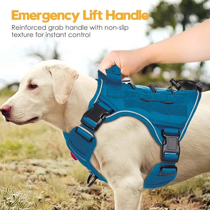 Heavy-Duty Tactical Dog Harness for Large Dogs, No Pull Adjustable Reflective Pet Vest with Molle System, K9 Military-Grade Control for Service Training, Outdoor &amp; 10+ Breeds, Blue, Small